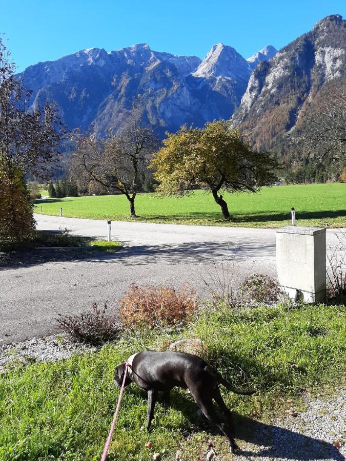 Rulfik Apart otel Hinterberg  Dış mekan fotoğraf